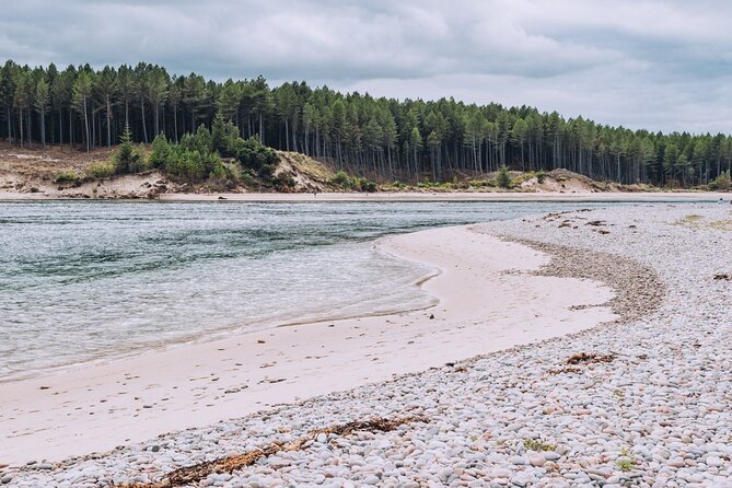 1 Day Moray Coast Tour with Speyside Whisky from Inverness - Wildlife at Troup Head, Spey Bay, or along the road