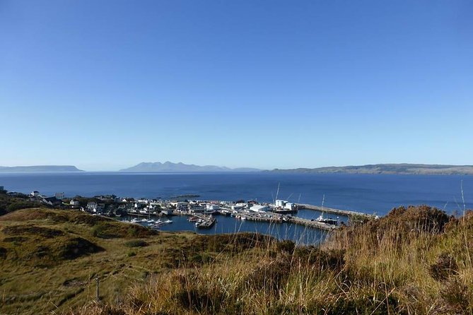 2-Day Jacobite Experience including the Hogwarts Express from Edinburgh - Who should book this Highland trip?