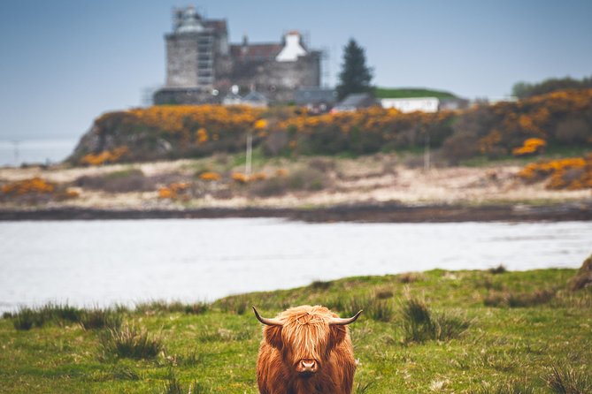 3-Day Isle of Mull and Iona Small-Group Tour from Glasgow - Is $755.74 a fair price?
