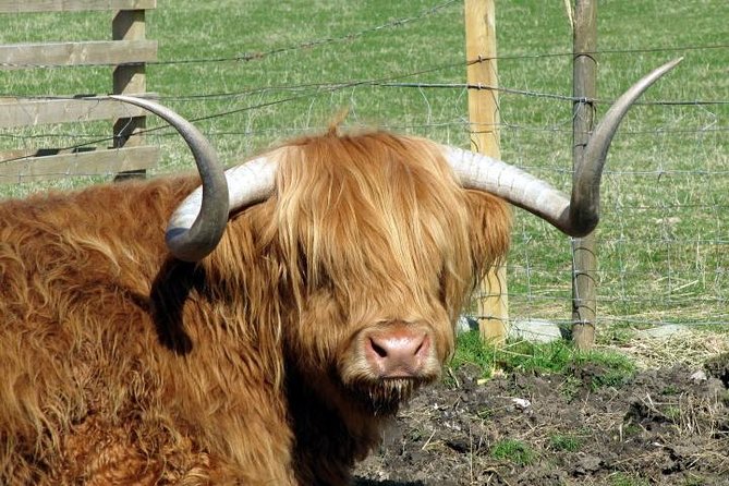 3-Day Isle of Skye and Highlands Tour from Glasgow - Day two: a full day among Skye’s famous rock formations