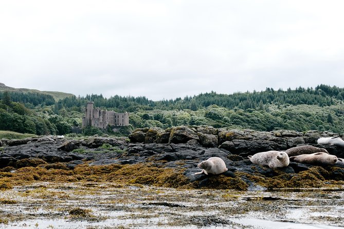 3-Day Isle of Skye, 'Hogwarts Express' Train and Highlands Tour - What the $926.56 price really covers
