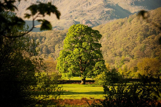 3-Day Lake District Explorer Small-Group Tour from Edinburgh - Day two: Windermere, Hawkshead, and Grasmere