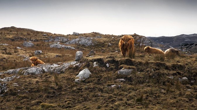3-Day Lewis, Harris and the Outer Hebrides Small-Group Tour from Inverness - Day one: Ullapool, the Minch, and Arnol Blackhouse