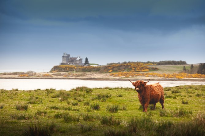4-Day Magical Mull, Iona & West Highlands Small-Group Tour from Edinburgh - Calgary Bay shows Mull at its prettiest