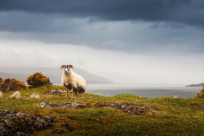 5-Day Iona, Mull and the Isle of Skye Small-Group Tour from Edinburgh - Day one: Loch Lomond, Inveraray, and seafood in Oban