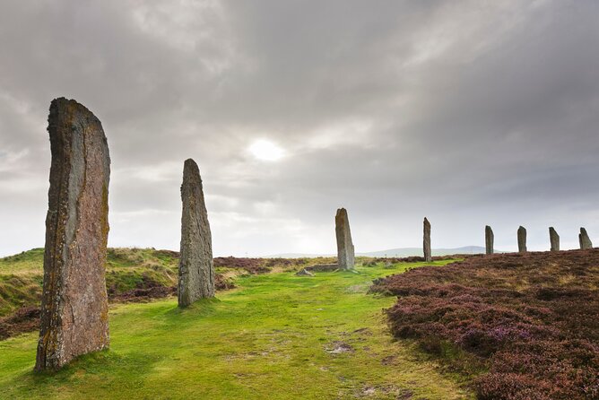 5 Days Orkney Islands & NC500 Tour from Glasgow - Day One: Cairngorms Woods, Culloden, and Clava Cairns