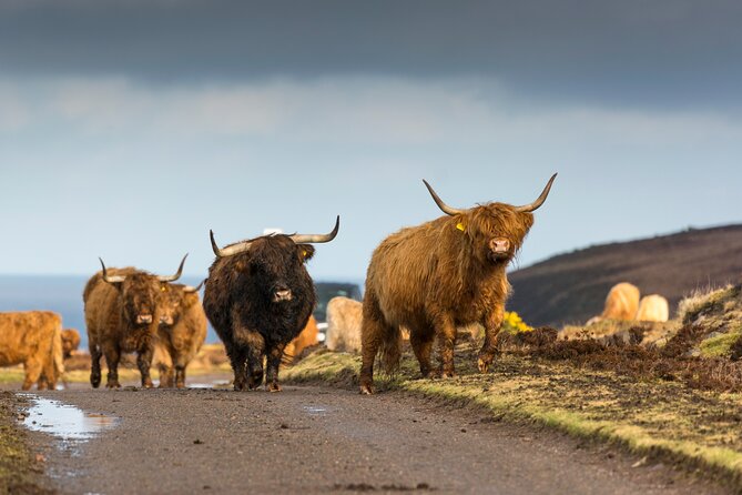 8 Day Isle of Skye, Orkney & North Coast 500 tour from Edinburgh - What this eight-day route does well