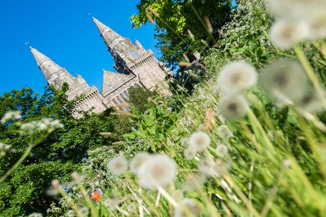 Aberdeen Historical Walking Tour - What the guides add to the walk