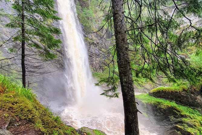 Alternative Loch Ness Tour by Secret Highlands - Plodda Falls: Short Walk, Big Payoff