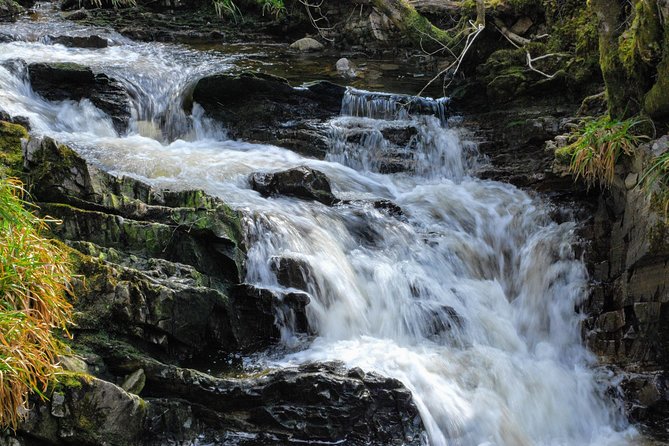 Alternative Loch Ness Tour by Secret Highlands - Glen Affric: The Day’s Main Scenic Reward