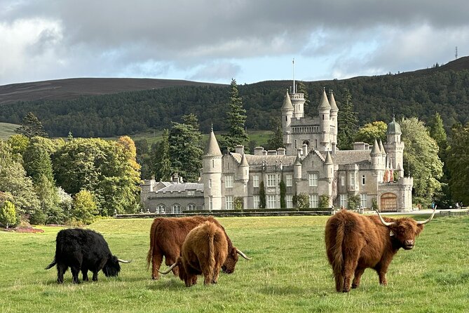 Balmoral & Royal Deeside Tour - The guides make the difference