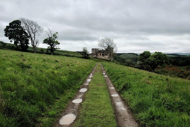 Beyond Edinburgh (Half Day Tour) - Rosslyn Chapel, mystery with stonework to match