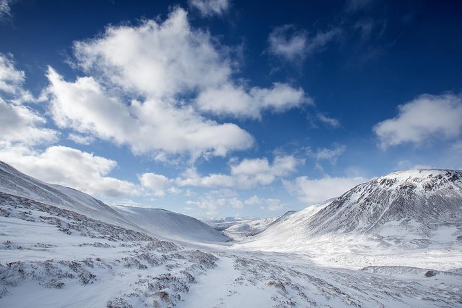 Cairngorms & Whisky Day Tour from Inverness Including Admission - Who should book this Highlands day?