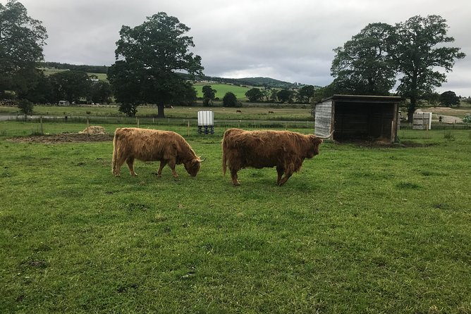 Culloden Battlefield, Clava Cairns and Loch Ness, Urquhart Castle - Why this private Highland day works