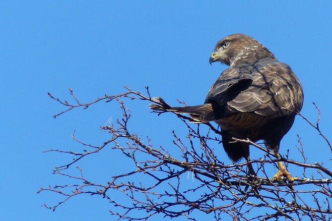 Discovery Wildlife Safari - Why this safari feels different from a standard scenic drive