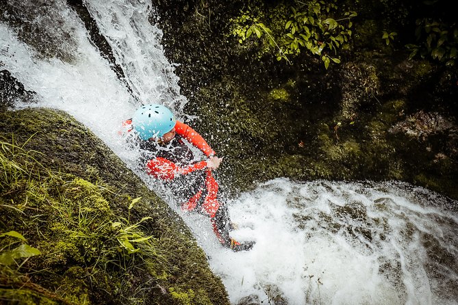 Dollar Falls Canyoning Trip - Five things to know before you book