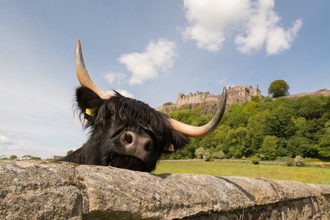 Edinburgh: Loch Lomond, Stirling Castle and the Kelpies Day Tour - What this nine-and-a-half-hour tour actually gives you