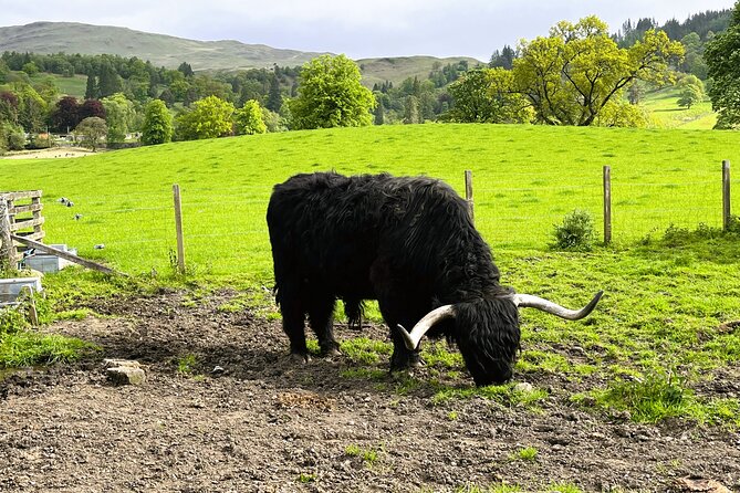 Edinburgh: Loch Ness, Glencoe & The Highlands - Fort Augustus and the Loch Ness choice