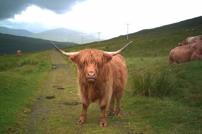 Edinburgh: Private Loch Ness Glencoe and The Highlands Tour - Rannoch Moor and the road into Glencoe