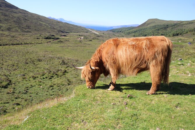 Explore the Isle of Skye in a full day tour - Duntulm Castle and Skye’s older stories