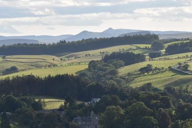 Farm Attraction - Highland Cows, Animal Feeding, Wholesome fun! - The Roman fort walk and den-building area