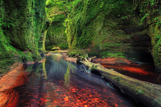 Find a hidden Glen in Scotland's woods - Key points to know before you book