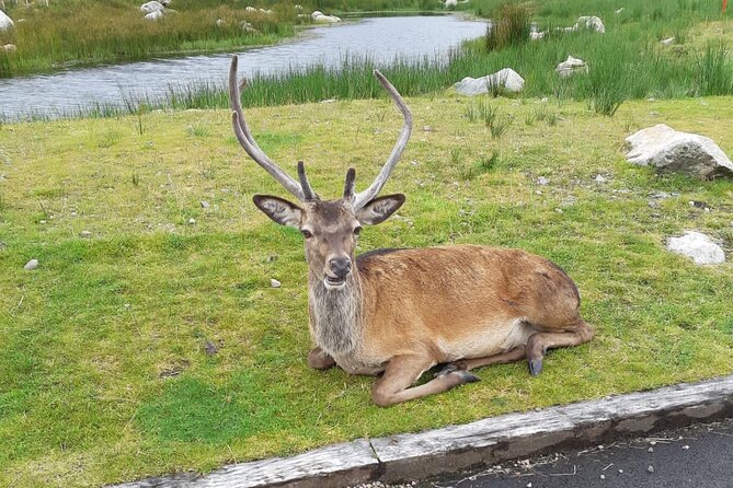 Fort William and Glencoe - Fort Augustus and the Caledonian Canal