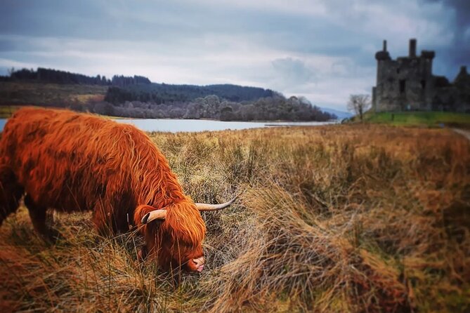 Full Day Private Tour in West Highlands, Oban and Glencoe - Why this private Highland day works