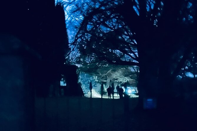 Ghost, Ghouls and Graveyards Private Highland Tour - Why This Tour Works Best After Dark