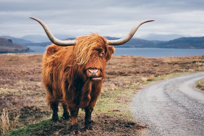 Glasgow: Isle of Skye, The Highlands and Loch Ness - 3 Day Tour - What to budget beyond the $235 price