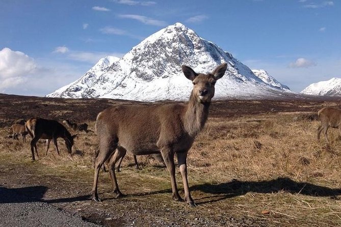 Glasgow: Loch Ness, Glencoe, and the Highlands Day Tour - Loch Ness gives you the longest stop