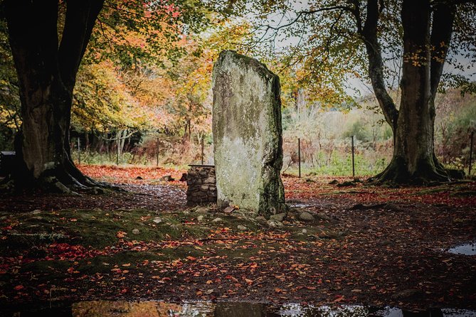 Glen Affric & Culloden Tour from Inverness Including Admissions - Starting beside Inverness Cathedral