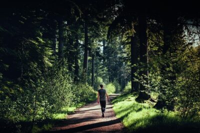 Glen Affric & Culloden Tour from Inverness Including Admissions
