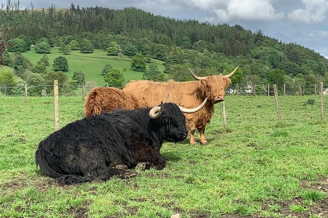Glencoe, Central Highlands, Rob Roy, Whisky, Private Tour - Callander, Loch Venachar, and the road north