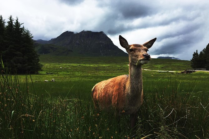 Glencoe & Highlands: Private Land Rover Tour - Food, water, and what you pay for