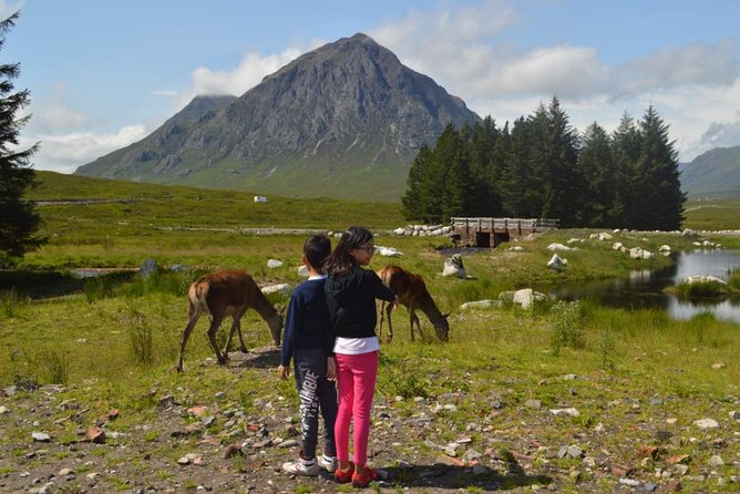 Greenock Private Tour Stirling Castle & Loch Lomond - Kilmahog and the Highland cows