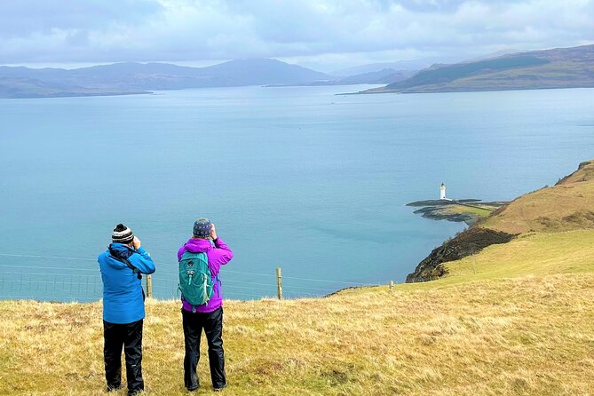 Guided Hebridean Farm Hike near Tobermory, Isle of Mull, Scotland - Climbing Meadow Ridge through wild flowers