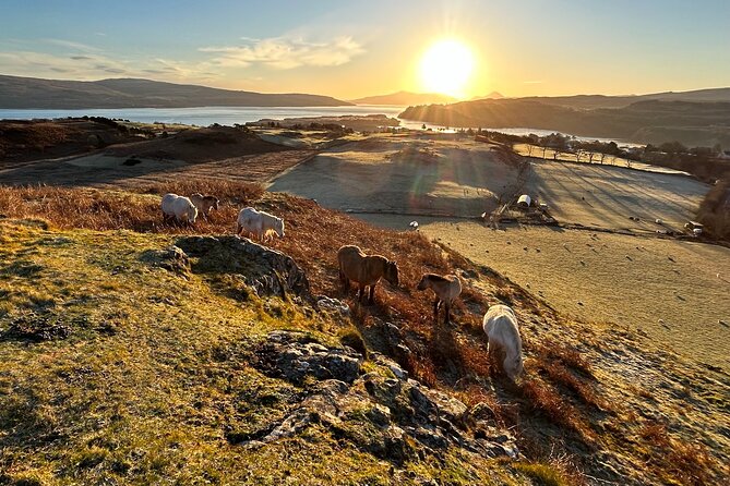 Guided Hebridean Farm Hike near Tobermory, Isle of Mull, Scotland - The second ridge and views over Bloody Bay