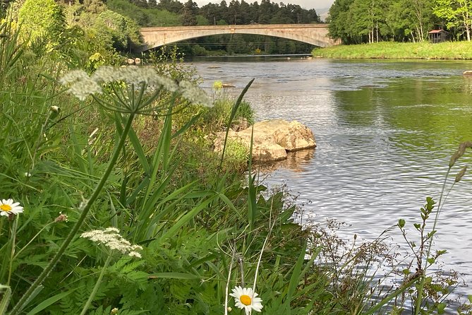 Guided Walks in Grantown-on-Spey - Into Anagach Woods