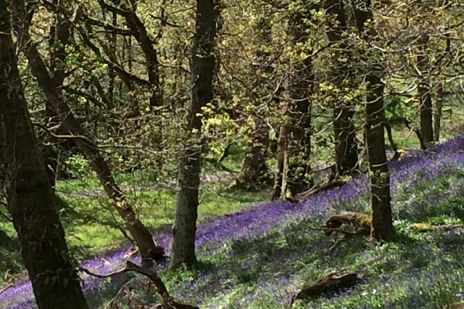 Half Day Loch Katrine Explorer Private Ebike Tour - Weather, Clothing, and What to Bring