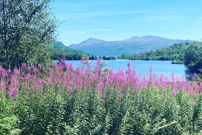 Half Day Loch Katrine Explorer Private Ebike Tour - Who Will Enjoy This Ride Most?