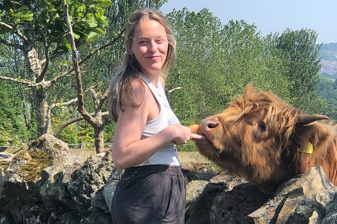 Highland Cows, Walk Alpacas & Scottish Wildlife Centre from Edin. - Food, weather, and what to pack