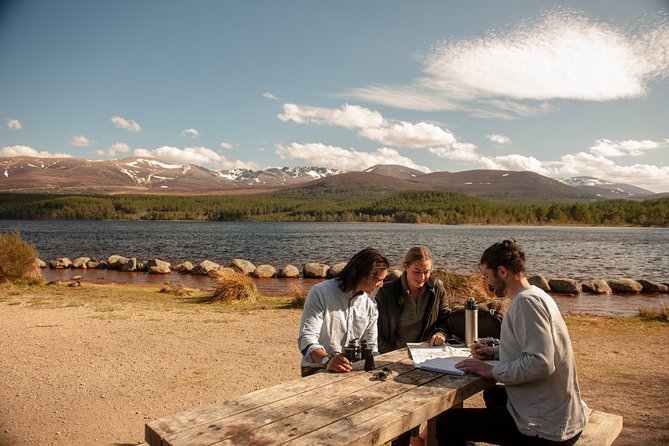 Highland Lochs, Glens & Whisky Day Tour Including Admission - The return journey and unexpected Highland cows