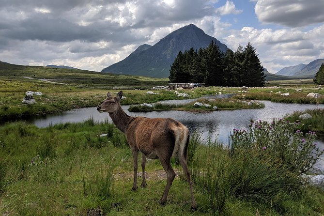 Highlands Private One Day Tour of Scotland - One hour in Glencoe National Nature Reserve
