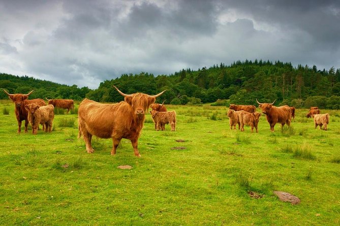 Highlights of Scotland Custom Private Tour from Edinburgh - Loch Katrine and the story of Rob Roy