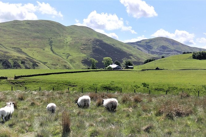 Hill & Nature Hike - Discover Real Edinburgh With a Local Expert - The descent brings a different kind of scenery