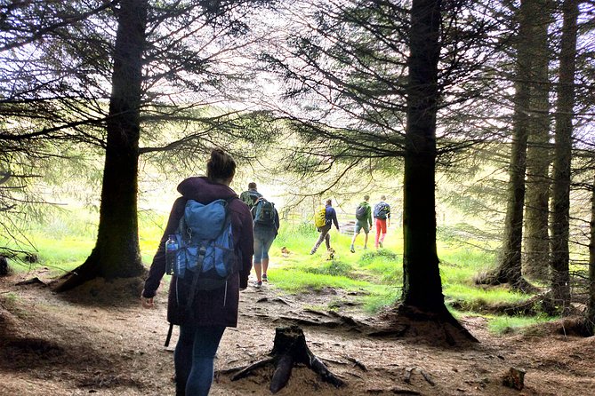 Hill & Nature Hike - Discover Real Edinburgh With a Local Expert - Is the $116.68 price good value?