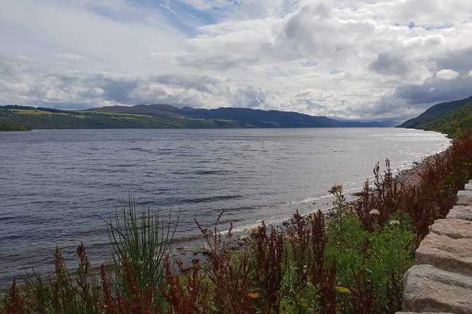 Invergordon Port Loch Ness Tour - Highland cows and gifts at Robertson’s Farm Shop