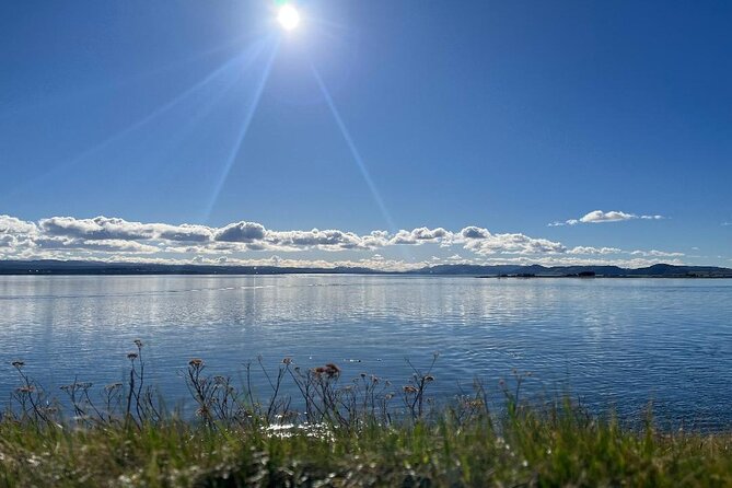 Invergordon Private Tour: Fort George, Cawdor Castle & Loch Ness - Robertson’s The Larder and the Highland cows