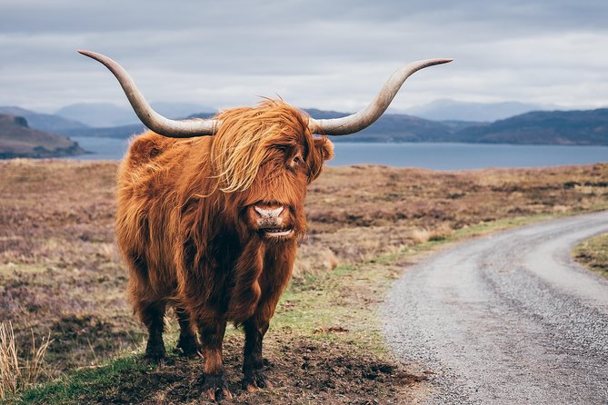 Inverness: Applecross, Loch Carron & the Wild Highlands - Applecross village and bay